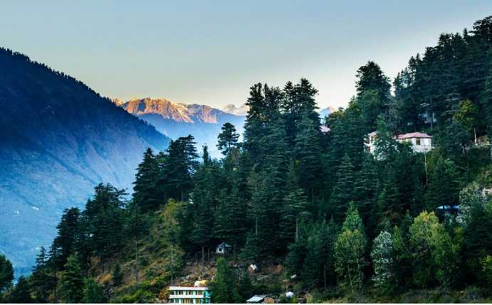 Manali Trip
